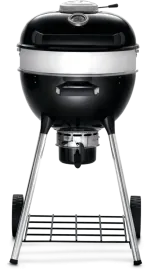 Grills Napoleon Charcoal Grill