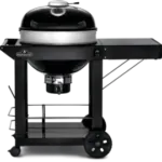 Grills Napoleon Charcoal Grill