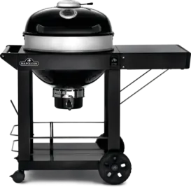 Grills Napoleon Charcoal Grill