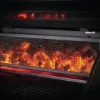 BBQ  Gril au charbon de bois 605 professionnel