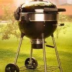 Grills Napoleon Charcoal Grill