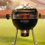 Grills Napoleon Charcoal Grill