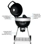 Grills Napoleon Charcoal Grill