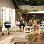 Grills Napoleon Charcoal Grill