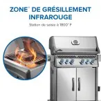 BBQ  Rogue® PRO-S 525 RSIB