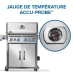 BBQ  Rogue® PRO-S 525 RSIB
