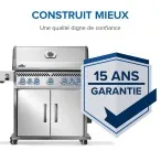 BBQ  Rogue® PRO-S 625 RSIB
