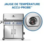 BBQ  Rogue® PRO-S 625 RSIB