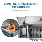 BBQ  Rogue® PRO-S 625 RSIB