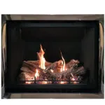 Gas Fireplace Archgard 41-DVTE41LN-2