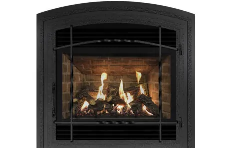 Gas Fireplace Archgard 72-DVTE30N-2