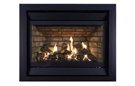 Gas Fireplace Archgard 72-DVTE30N-2