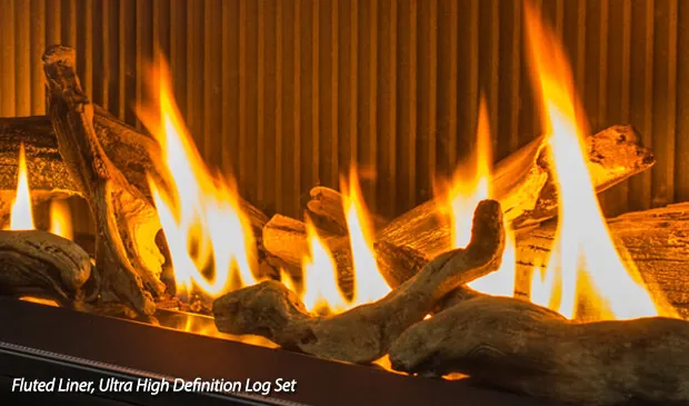 Foyer au gaz Enviro C44