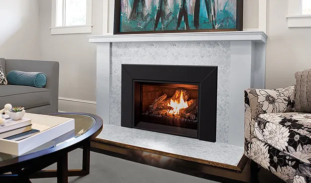 Gas Fireplace Enviro E25