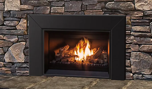 Gas Fireplace Enviro E25