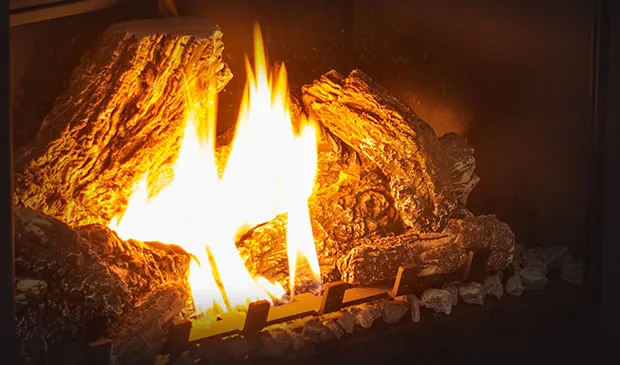 Gas Fireplace Enviro E25
