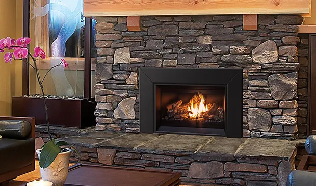 Gas Fireplace Enviro E25