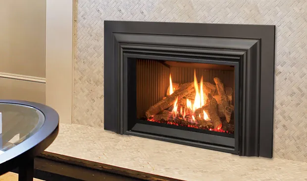 Gas Fireplace Enviro EX32