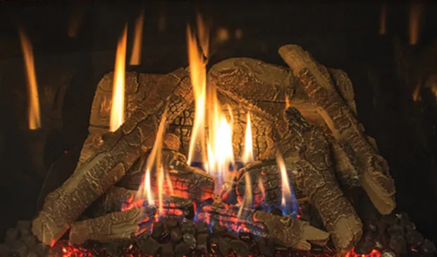 Gas Fireplace Enviro EX35