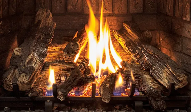 Gas Fireplace Enviro Q2