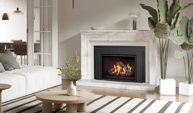Gas Fireplace Enviro Ri30