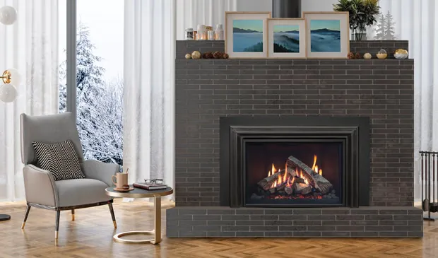 Gas Fireplace Enviro Ri30