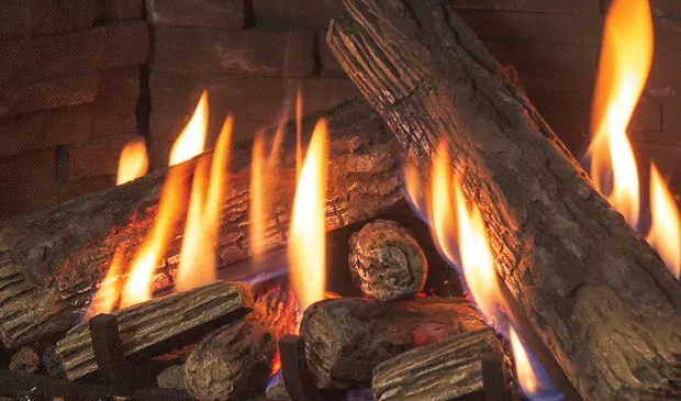 Gas Fireplace Enviro Ri30
