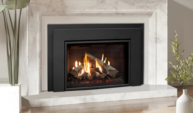Gas Fireplace Enviro Ri30