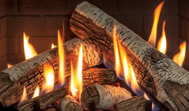 Gas Fireplace Enviro Ri30
