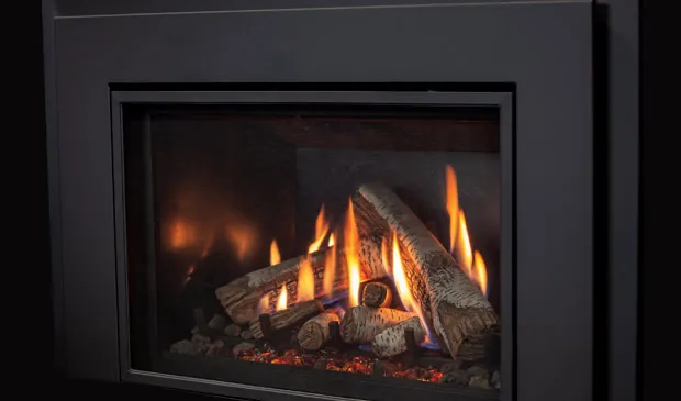 Gas Fireplace Enviro Ri30
