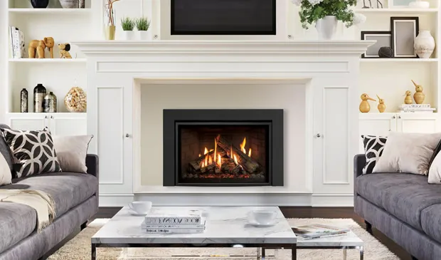 Gas Fireplace Enviro Ri30