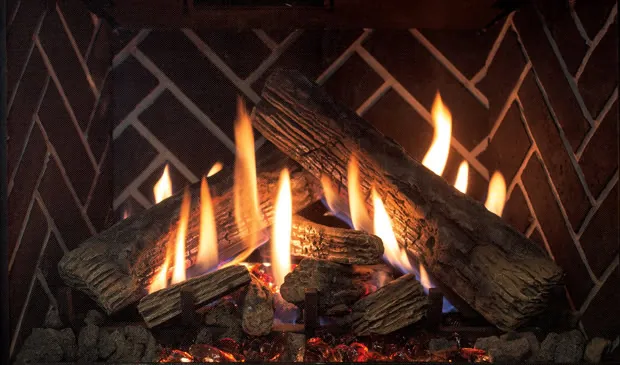 Gas Fireplace Enviro Ri30