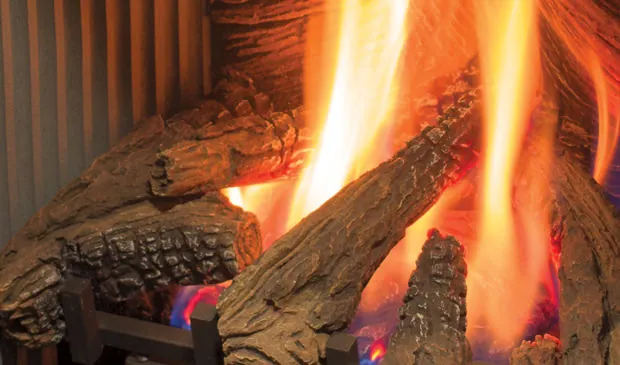 Gas Fireplace Enviro S20