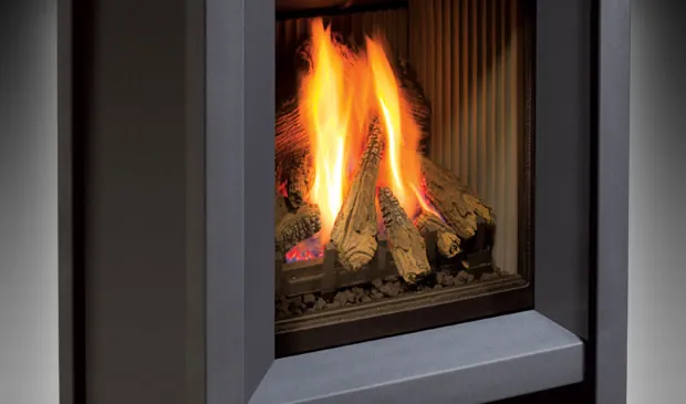 Gas Fireplace Enviro S20
