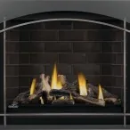 Gas Fireplace Napoleon Altitude X 42