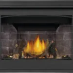 Gas Fireplace Napoleon Ascent BX 42