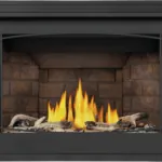 Gas Fireplace Napoleon Ascent BX 42