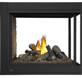 Foyer au gaz Napoleon Ascent Multi-View BHD4PN