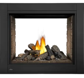 Gas Fireplace Napoleon Ascent Multi-View BHD4STN