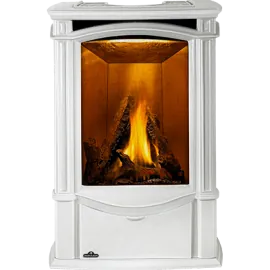 Poêle au gaz Napoleon Castlemore