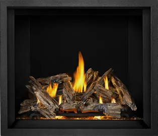 Foyer au gaz Napoleon Elevation X 42