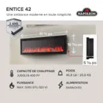 Electric Fireplace Napoleon Entice 42