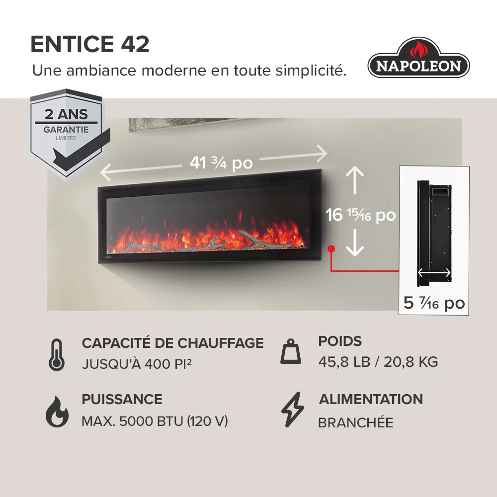 Electric Fireplace Napoleon Entice 42