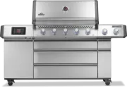 Gas Stove Napoleon Havelock