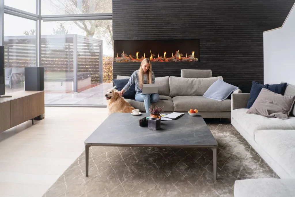 Electric Fireplace Napoleon Luminex 65