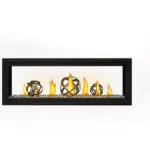 Foyer au gaz Napoleon Luxuria 50 See Through