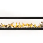 Foyer au gaz Napoleon Luxuria 74 See Through