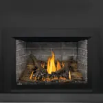 Gas Insert Napoleon Oakville 3