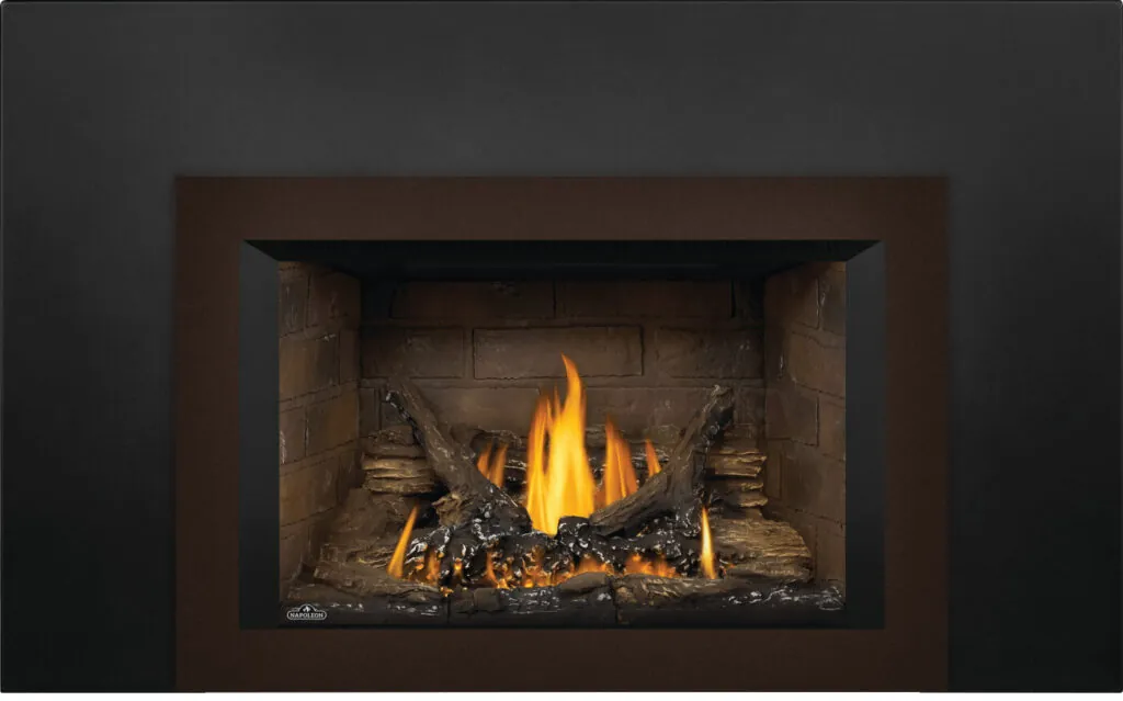Gas Insert Napoleon Oakville 3