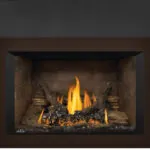 Gas Insert Napoleon Oakville 3